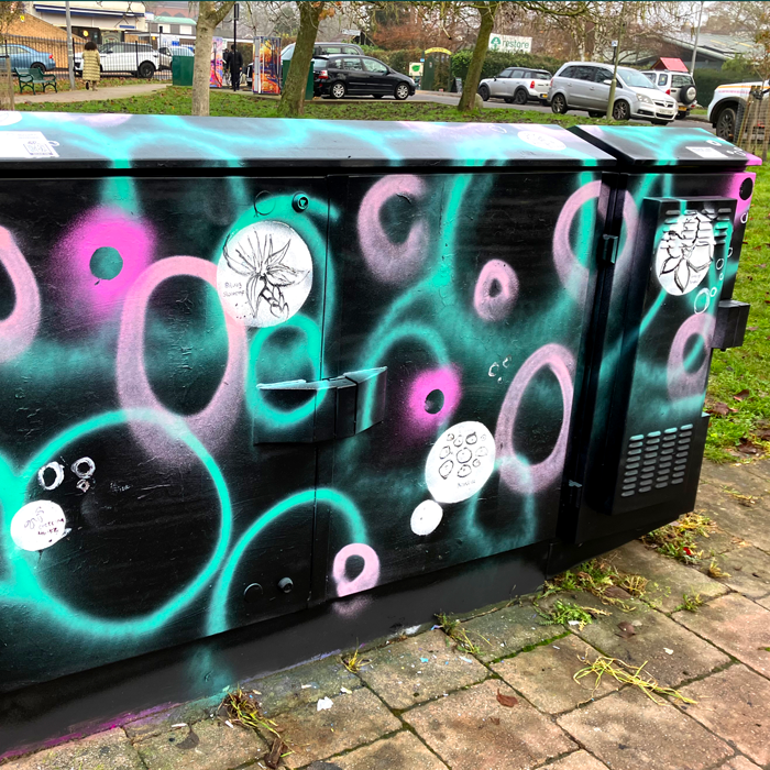 OPERATION: BOOMBOX - FELICITY TATTERSALL X BETHANY WEIMERS